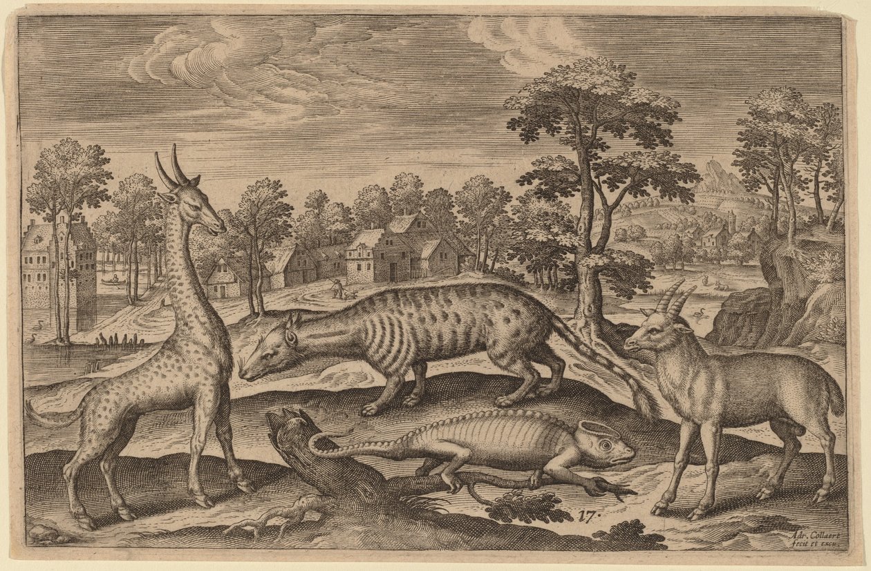 Zürafa, Bukalemun, Misk Kedisi ve Antilop by Adriaen Collaert