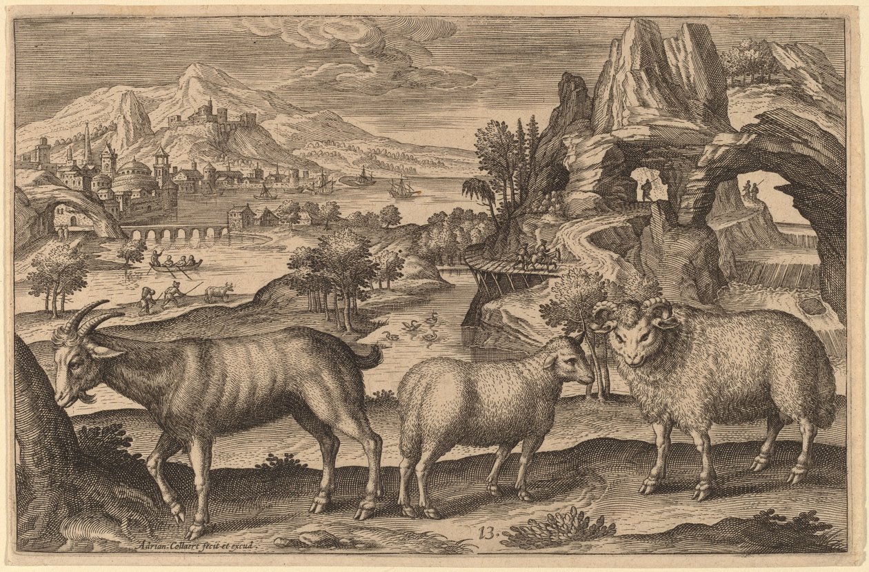 Keçi, Koyun ve Koç by Adriaen Collaert