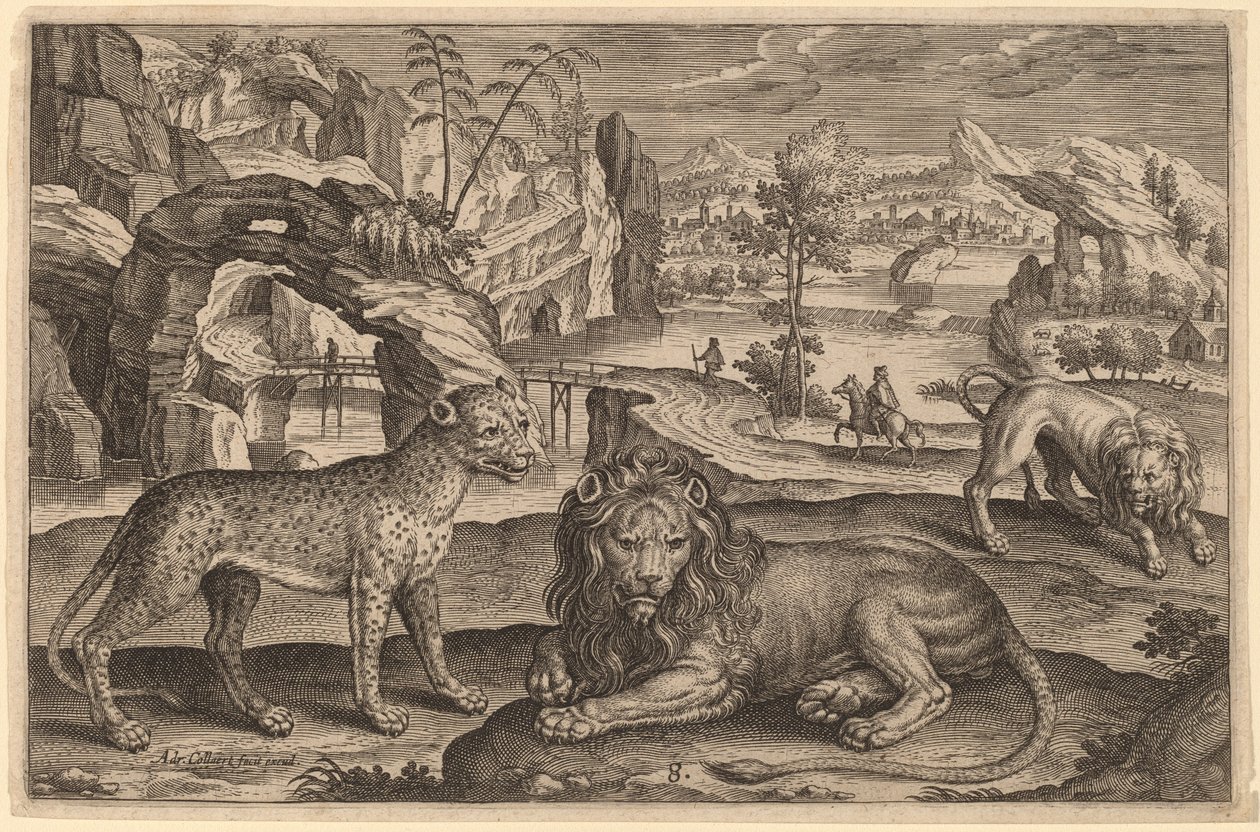 Bir Leopar ve İki Aslan by Adriaen Collaert