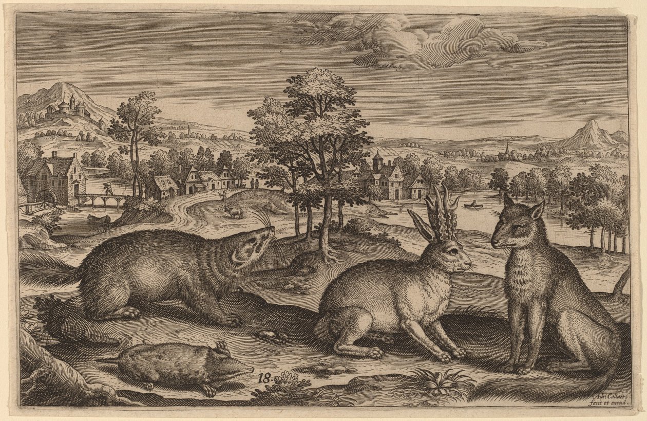 Köstebek, Porsuk, Boynuzlu Tavşan ve Tilki by Adriaen Collaert