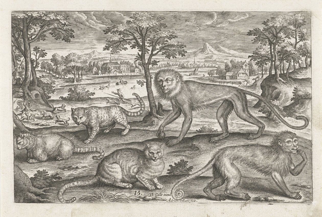 Maymunlar ve kediler Dört ayaklı hayvanlar (dizi adı) Animalivm Qvaddrvpedvm (dizi başlığı) by Adriaen Collaert