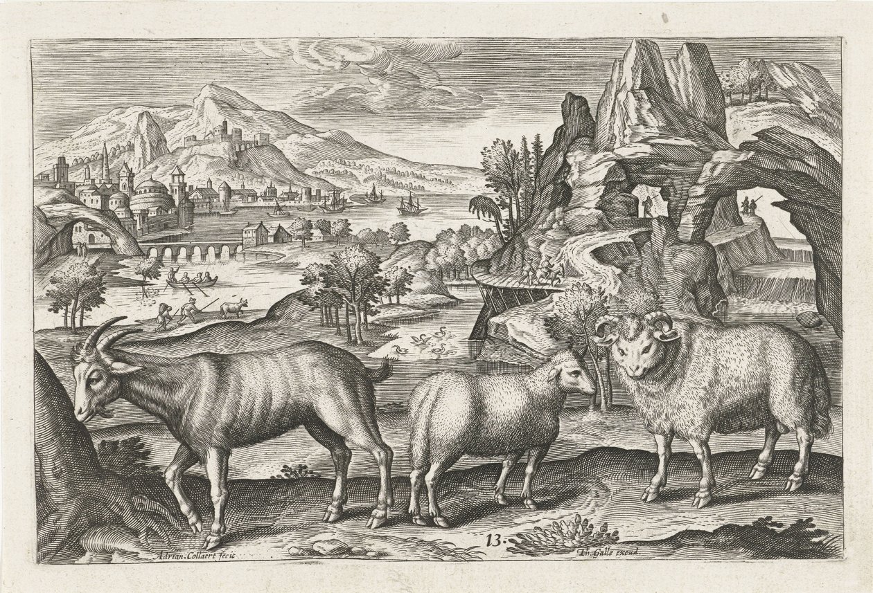 keçi ve koyun Dört ayaklı hayvanlar (dizi adı) Animalivm Qvaddrvpedvm (dizi başlığı) by Adriaen Collaert