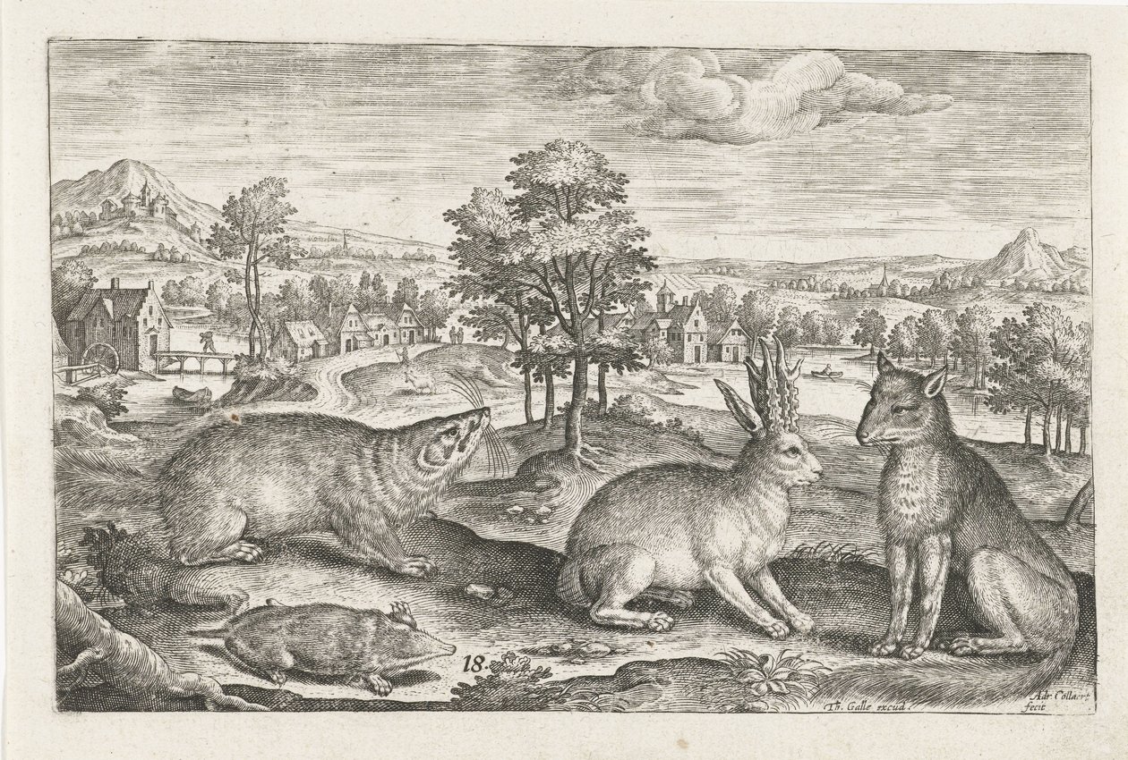 Orman hayvanları Dört ayaklı hayvanlar (dizi adı) Animalivm Qvaddrvpedvm (dizi başlığı) by Adriaen Collaert