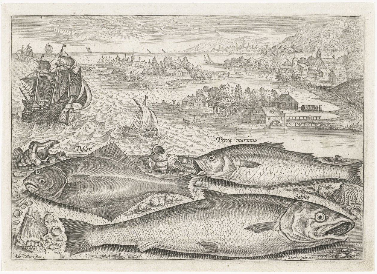 Sahilde üç balık Balık tutma (dizi adı) Piscium vivae simgeleri (seri başlığı) by Adriaen Collaert