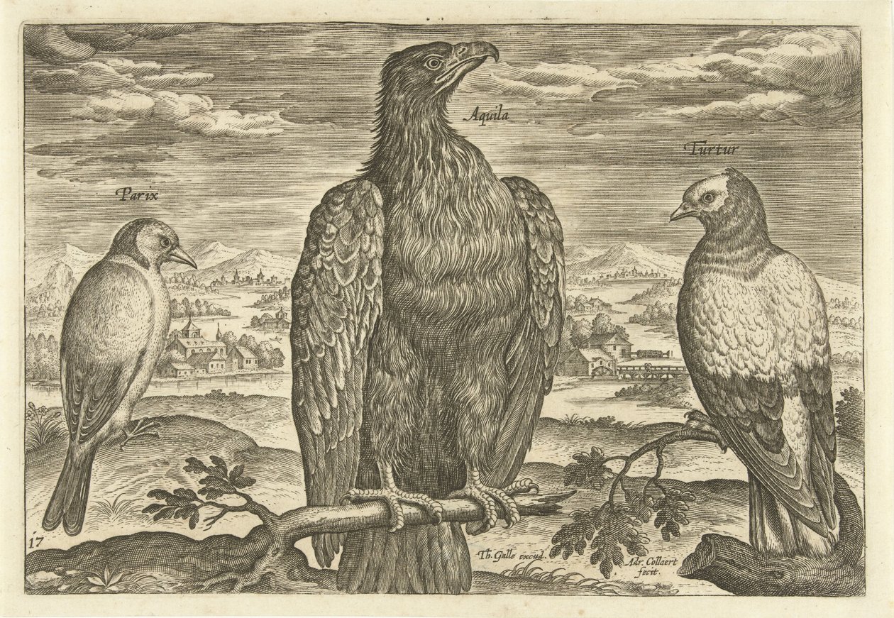 Bir manzara içinde üç kuş Avium Vivae (dizi adı) Kuşlar (dizi adı) by Adriaen Collaert