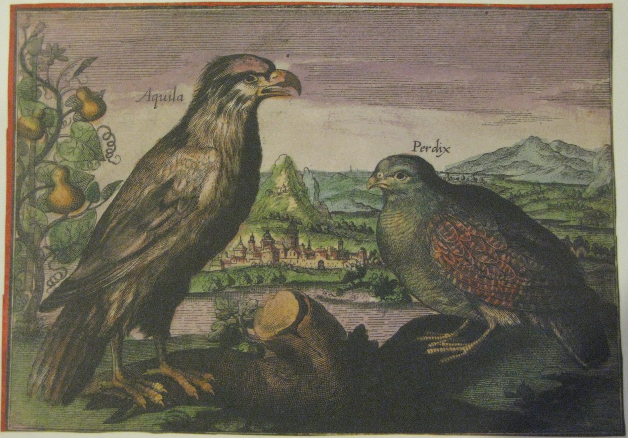  by Adriaen Collaert