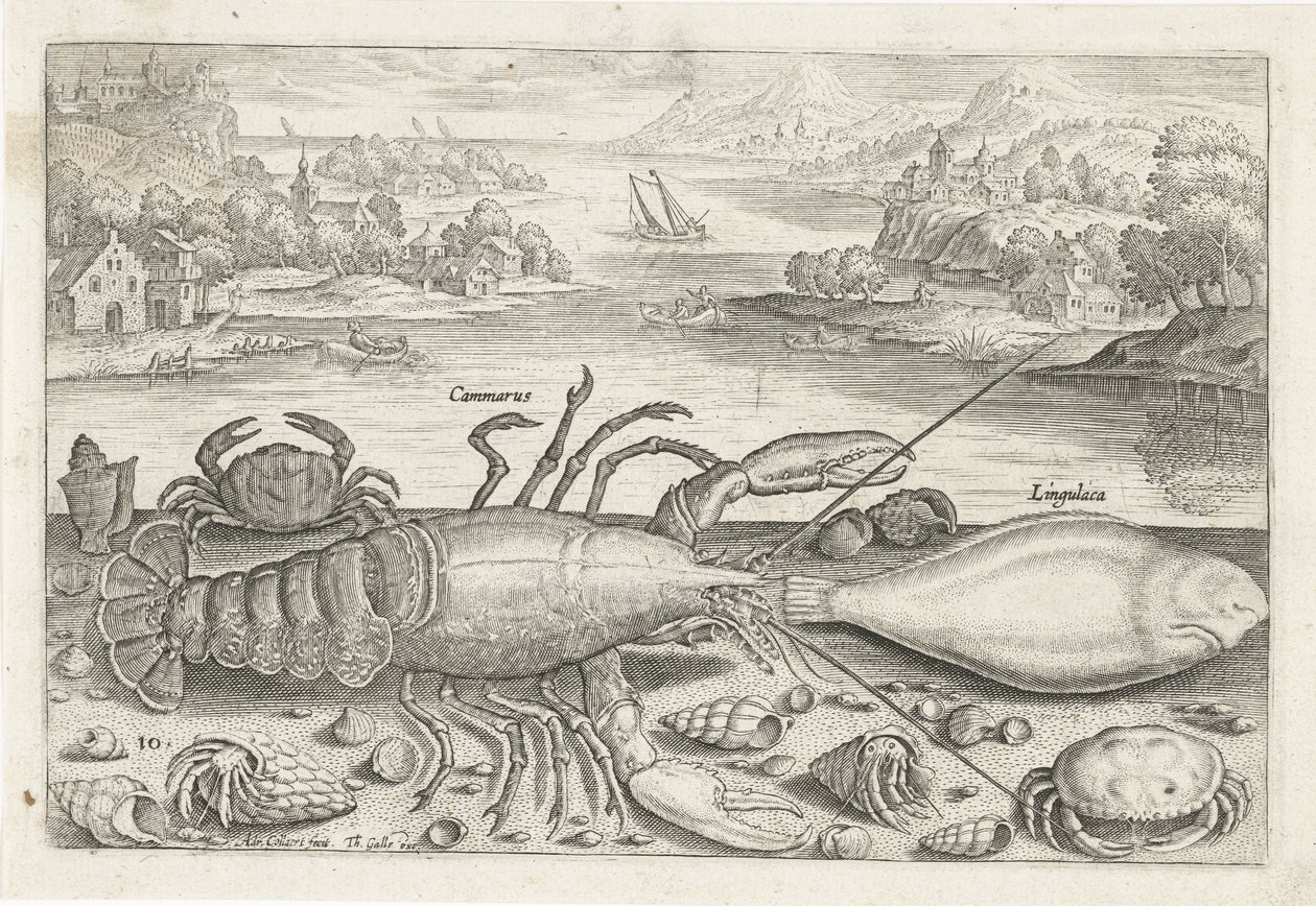 Sahilde bir balık ve bazı kabuklular Balık tutma (dizi adı) Piscivm vivae simgeleri (seri başlığı) by Adriaen Collaert