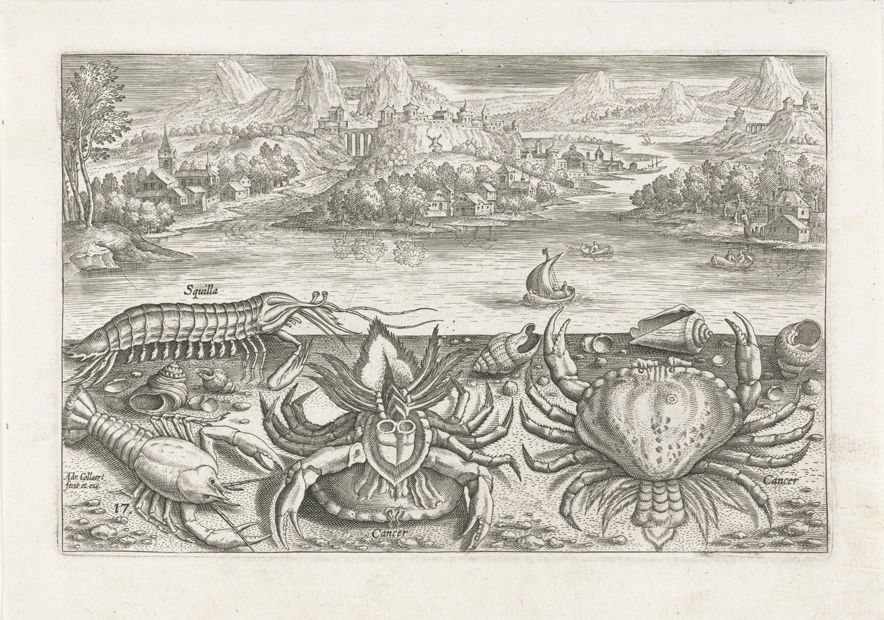Sahilde bazı kabuklular Balık tutma (dizi adı) Piscium vivae simgeleri (seri başlığı) by Adriaen Collaert