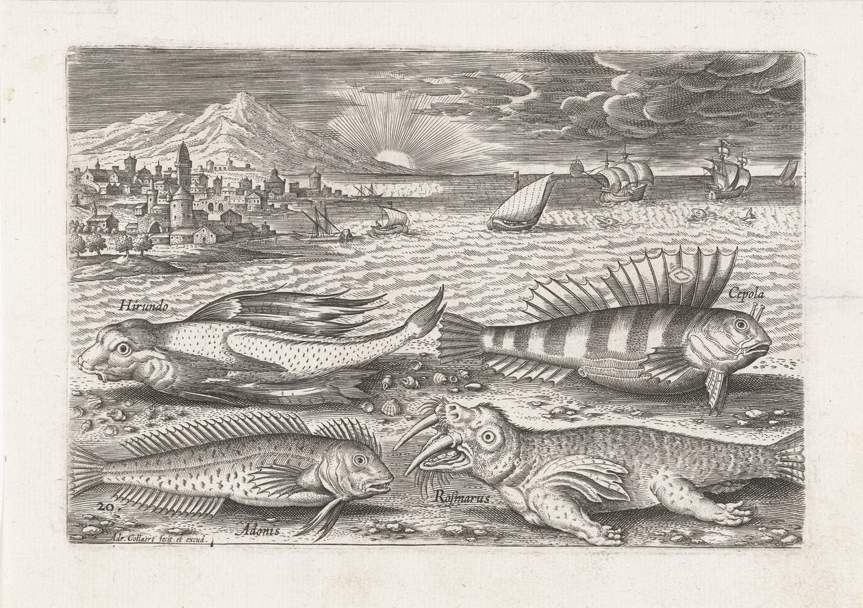 Sahilde biraz balık ve bir deniz aygırı Balık tutma (dizi adı) Piscivm vivae simgeleri (seri başlığı) by Adriaen Collaert