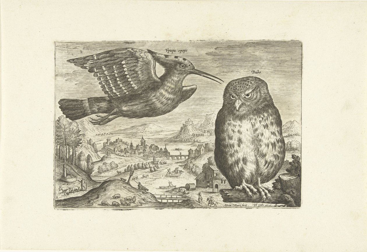 Bir manzarada bazı kuşlar Kuşlar (dizi adı) Avivm vivae (dizi adı) by Adriaen Collaert