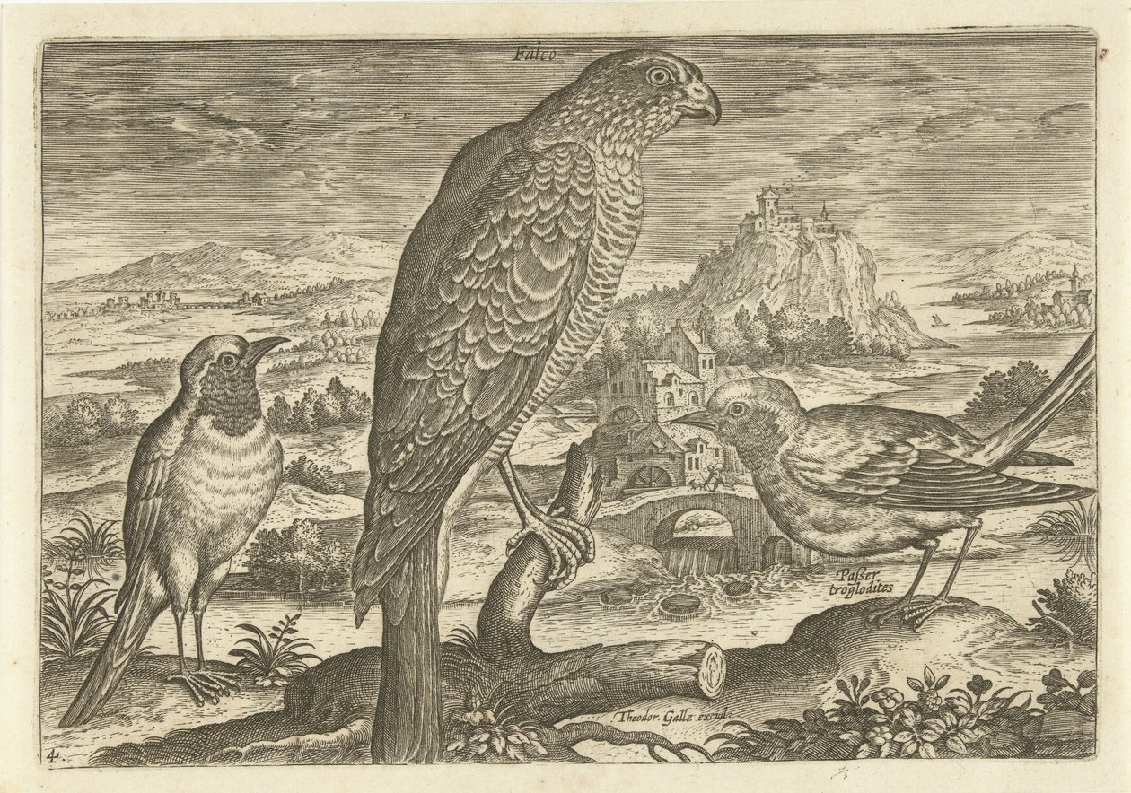 Bir manzarada bazı kuşlar Kuşlar (dizi adı) Avivm vivae (dizi adı) by Adriaen Collaert