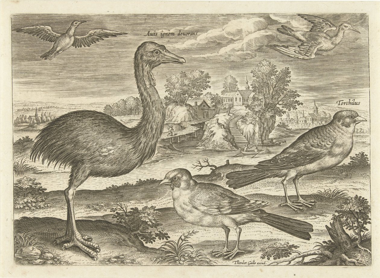 Bir manzarada bazı kuşlar Kuşlar (dizi adı) Avivm vivae (dizi adı) by Adriaen Collaert
