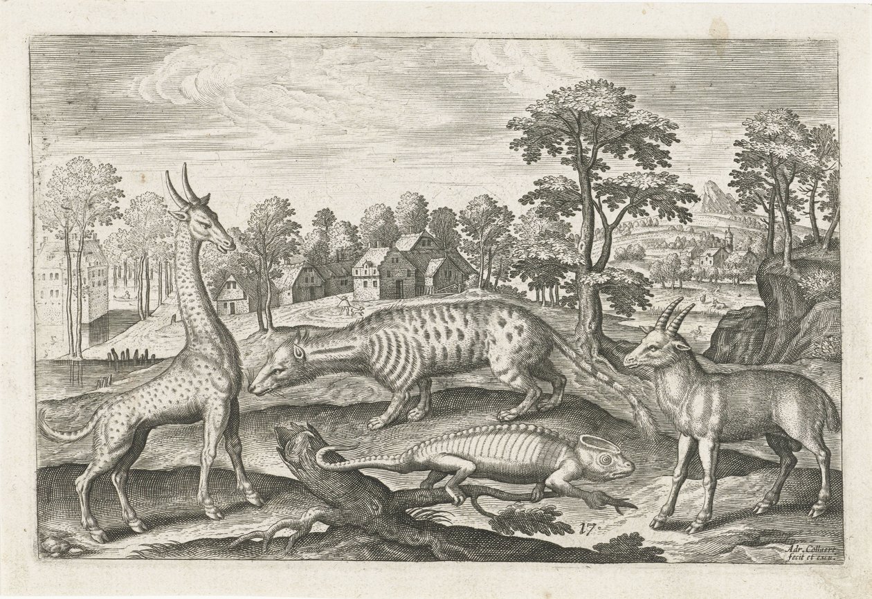 egzotik hayvanlar Dört ayaklı hayvanlar (dizi adı) Animalivm Qvaddrvpedvm (dizi başlığı) by Adriaen Collaert