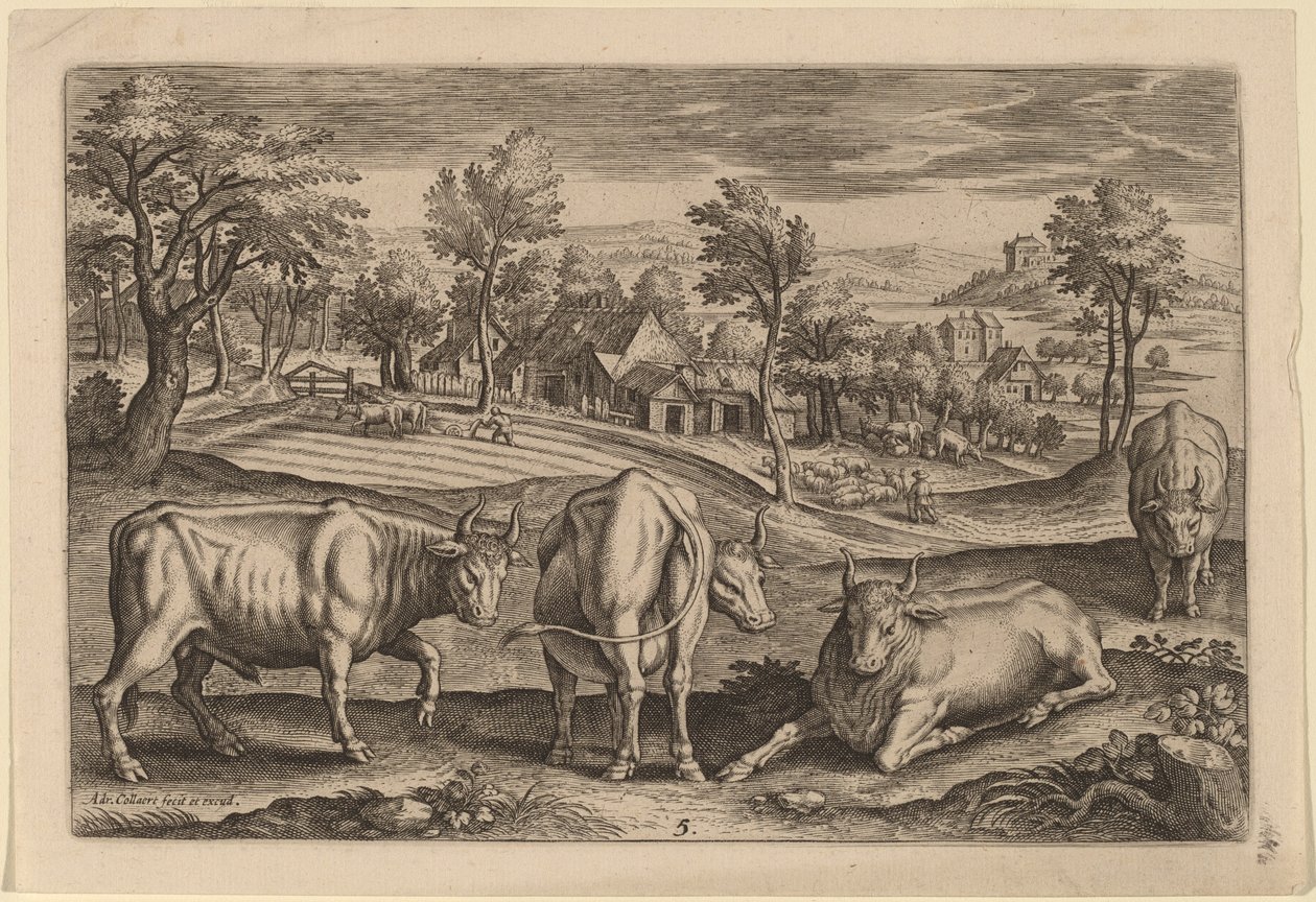 dört boğa by Adriaen Collaert
