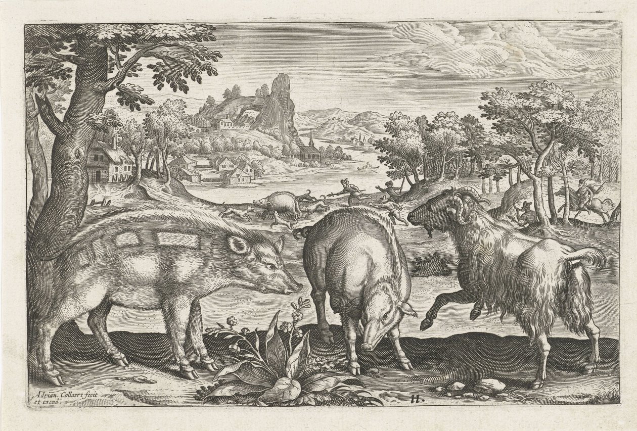 Keçi ve domuz Dört ayaklı hayvanlar (dizi adı) Animalivm Qvaddrvpedvm (dizi başlığı) by Adriaen Collaert