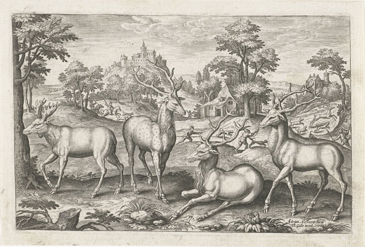 geyik Dört ayaklı hayvanlar (dizi adı) Animalivm Qvaddrvpedvm (dizi başlığı) by Adriaen Collaert
