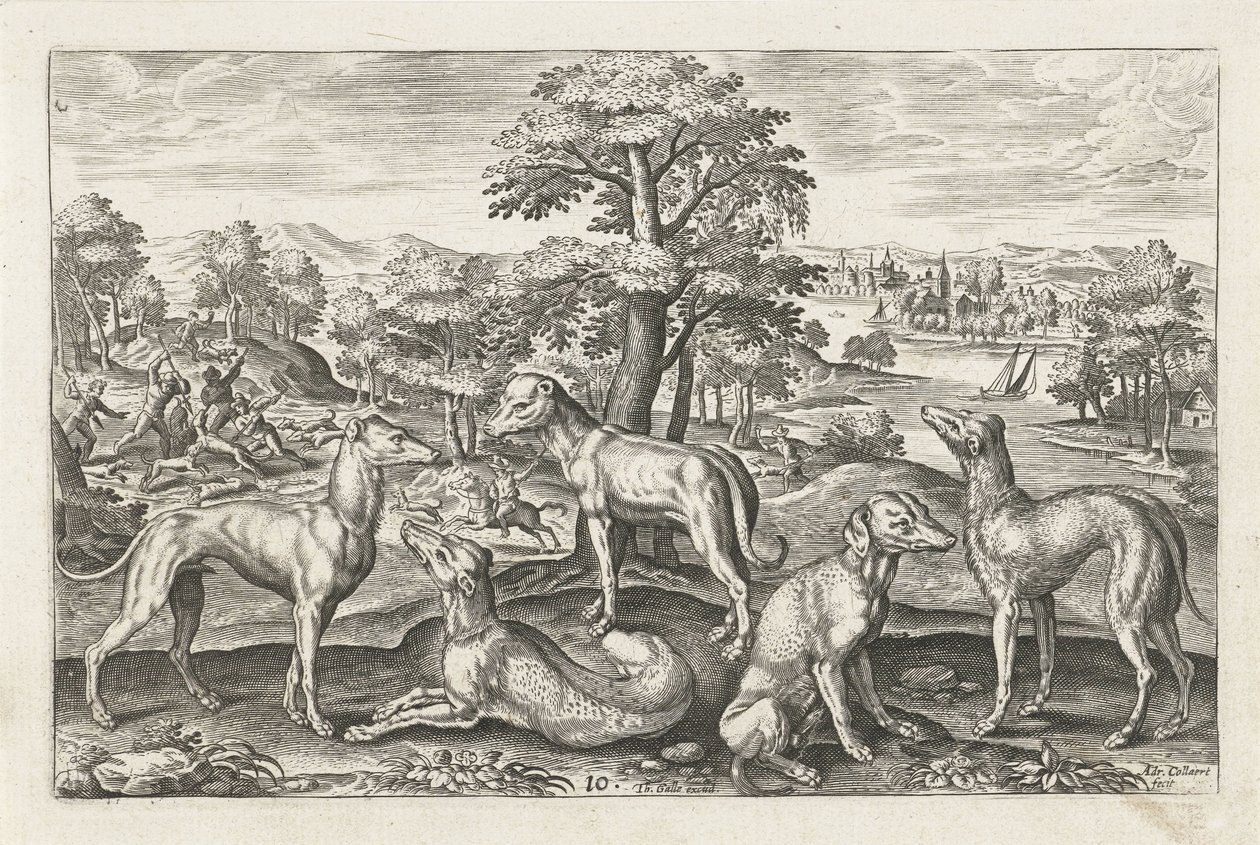 av köpekleri Dört ayaklı hayvanlar (dizi adı) Animalivm Qvaddrvpedvm (dizi başlığı) by Adriaen Collaert