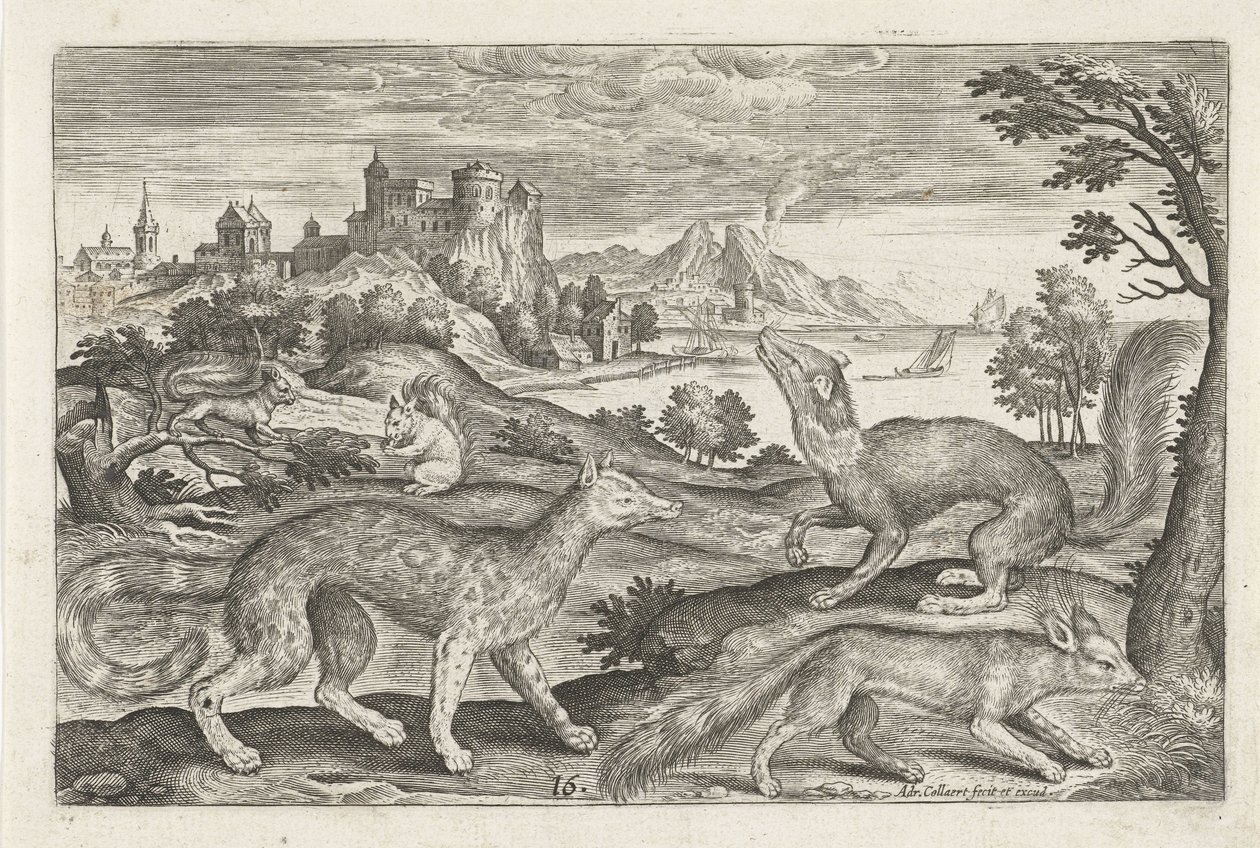Martens, sincap ve tilki Dört ayaklı hayvanlar (dizi adı) Animalivm Qvaddrvpedvm (dizi başlığı) by Adriaen Collaert