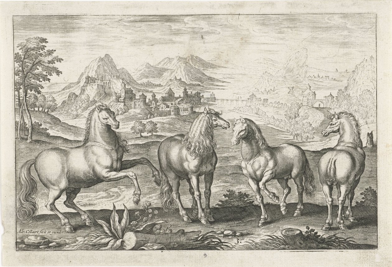 Atlar Dört ayaklı hayvanlar (dizi adı) Animalivm Qvaddrvpedvm (dizi başlığı) by Adriaen Collaert