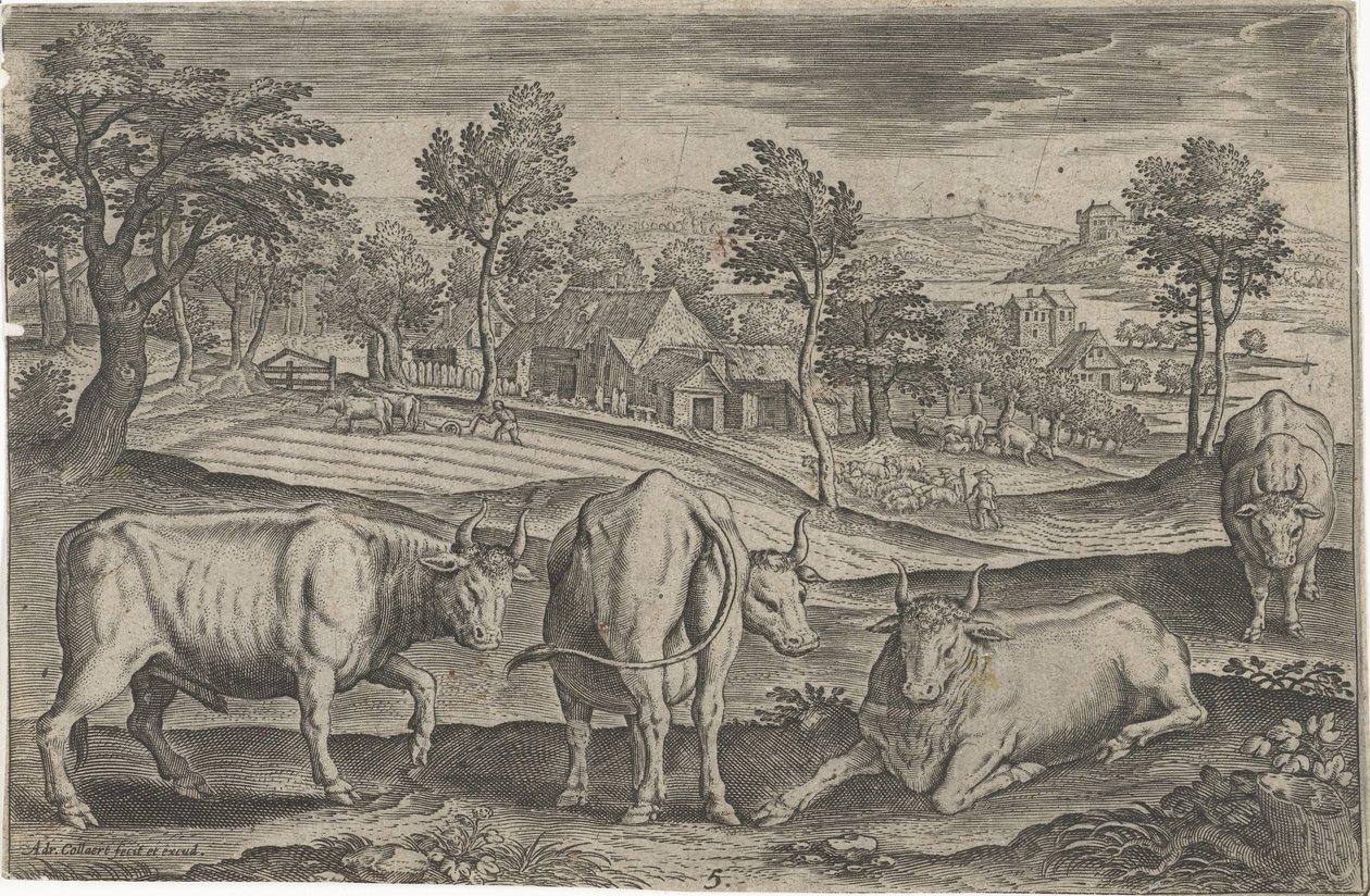 sığırlar Dört ayaklı hayvanlar (dizi adı) Animalivm Qvaddrvpedvm (dizi başlığı) by Adriaen Collaert