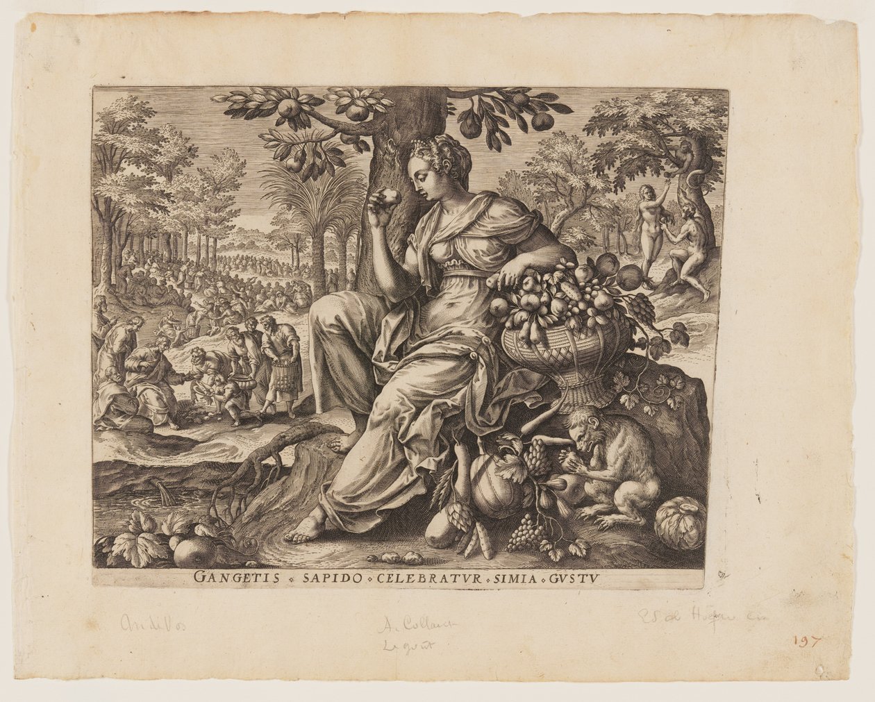  by Adriaen Collaert