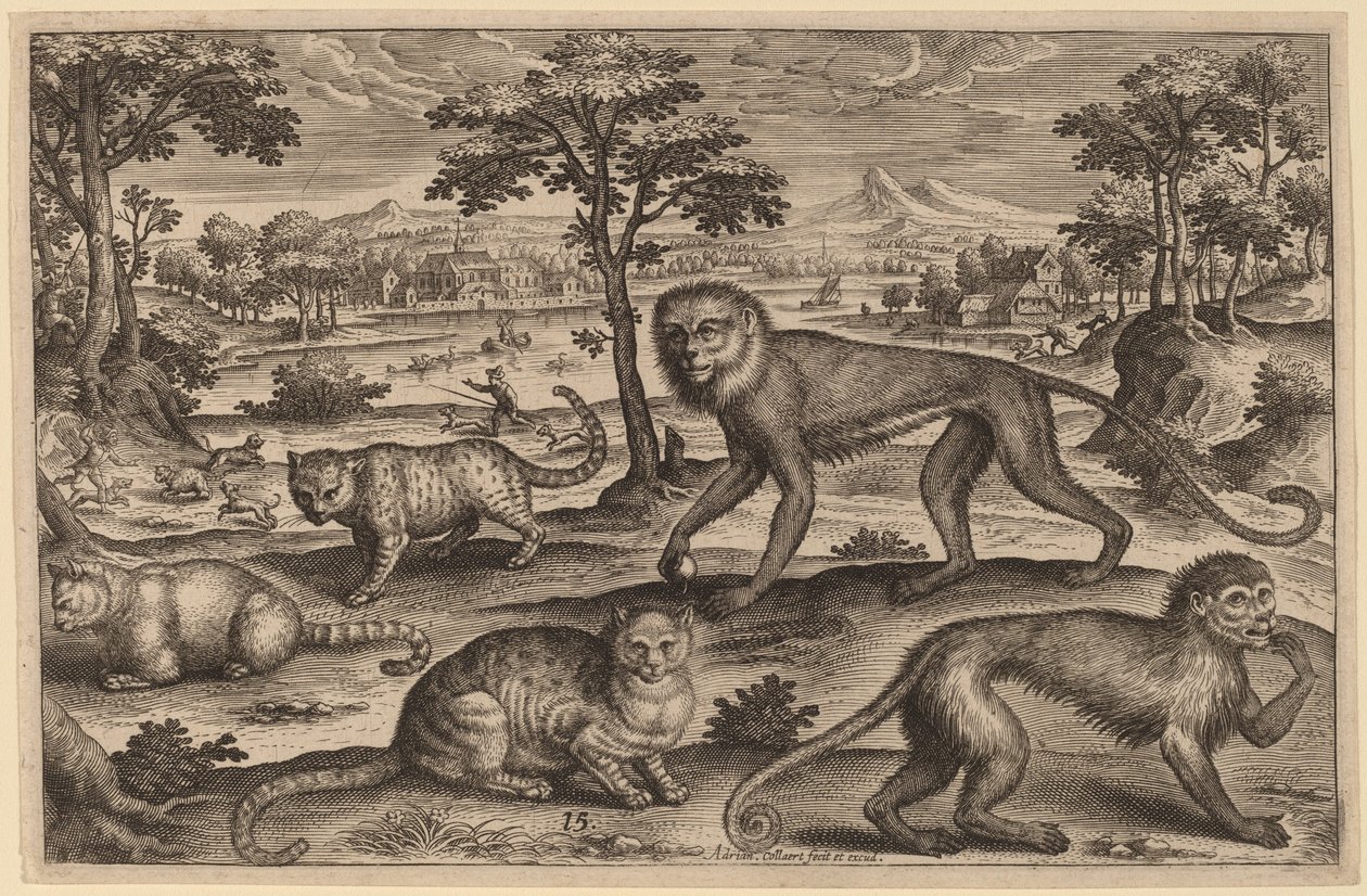 Üç Kedi ve İki Maymun by Adriaen Collaert