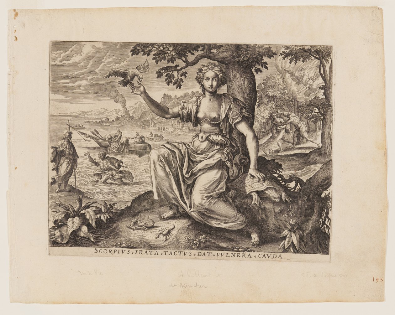  by Adriaen Collaert