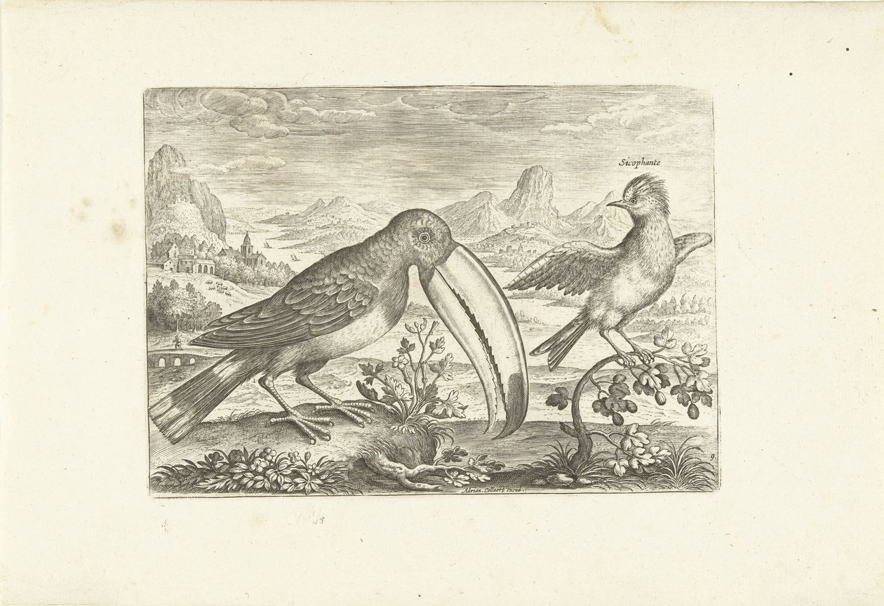 Bir manzara içinde iki egzotik kuş Kuşlar (dizi adı) Avium vivae (dizi adı) by Adriaen Collaert