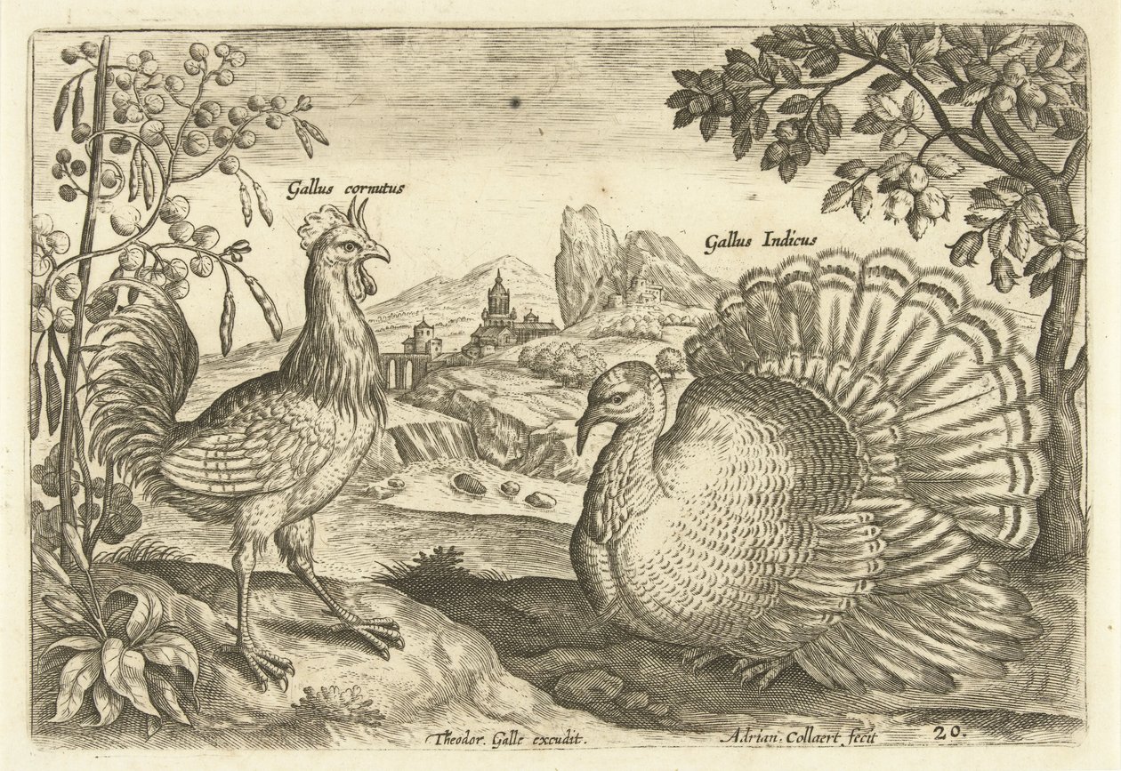Bir manzara içinde iki tavuk Avium Vivae (dizi adı) Kuşlar (dizi adı) by Adriaen Collaert