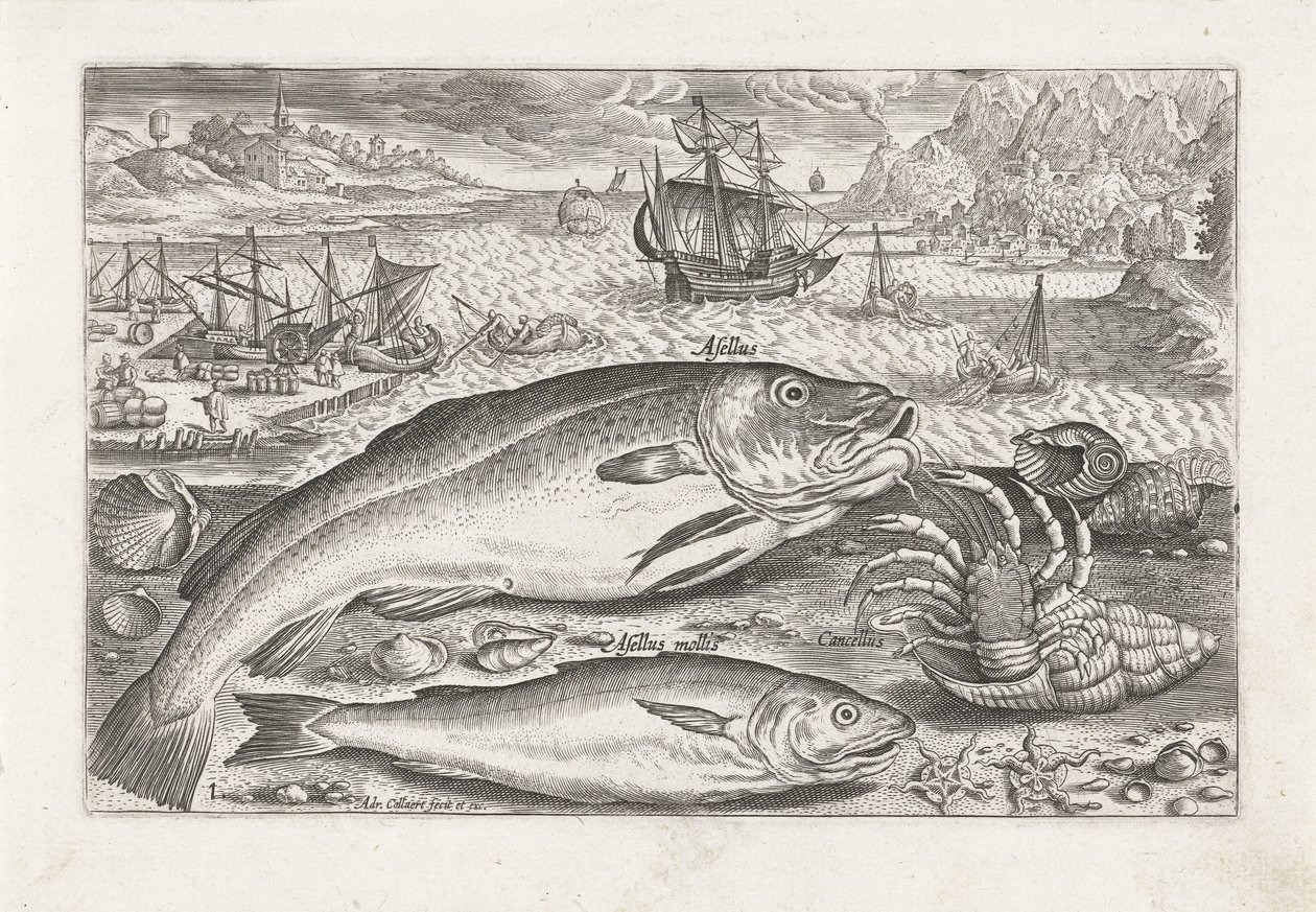 Sahilde iki balık Balık tutma (dizi adı) Piscium vivae simgeleri (seri başlığı) by Adriaen Collaert