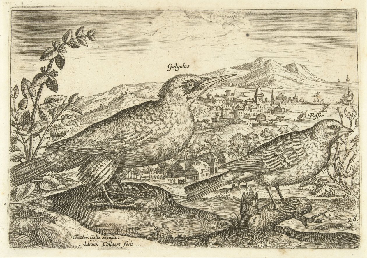 Bir manzarada iki kuş Avium Vivae (dizi adı) Kuşlar (dizi adı) by Adriaen Collaert