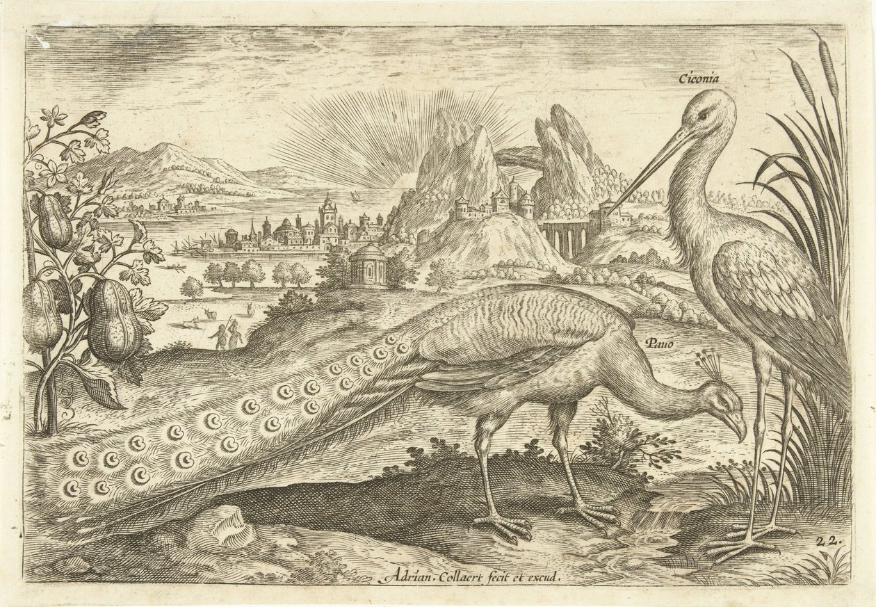 Bir manzarada iki kuş Avium Vivae (dizi adı) Kuşlar (dizi adı) by Adriaen Collaert