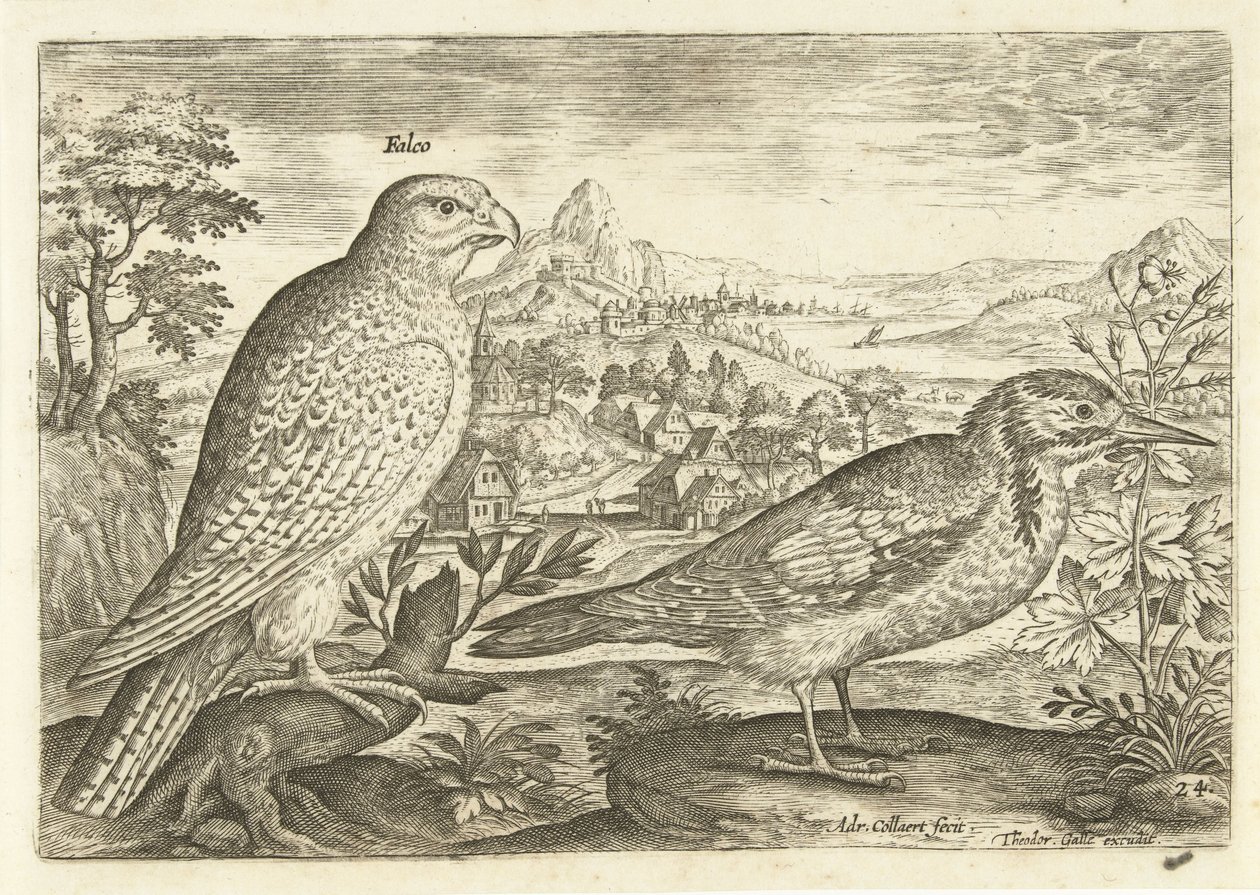 Bir manzarada iki kuş Avium Vivae (dizi adı) Kuşlar (dizi adı) by Adriaen Collaert