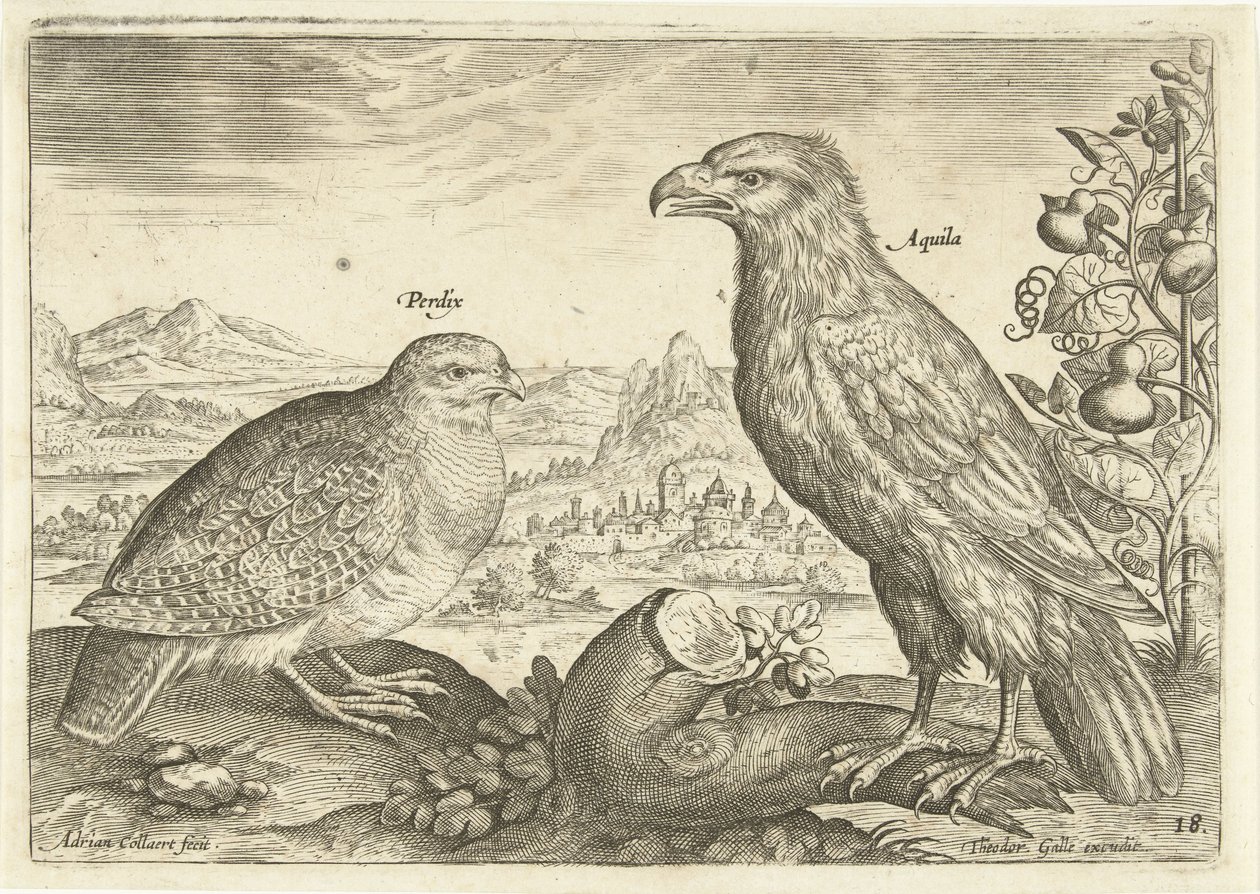 Bir manzarada iki kuş Avium Vivae (dizi adı) Kuşlar (dizi adı) by Adriaen Collaert
