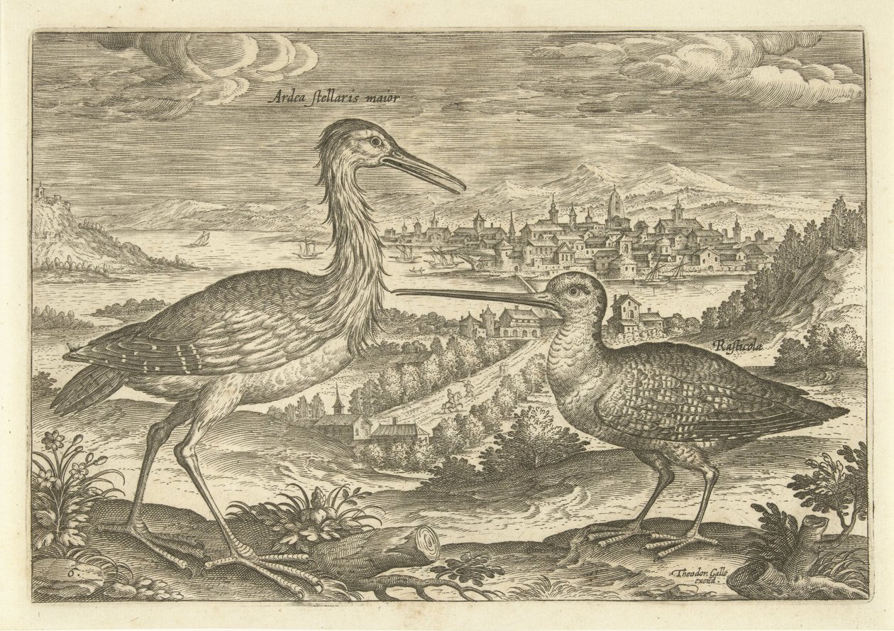 Bir manzarada iki kuş Kuşlar (dizi adı) Avium vivae (dizi adı) by Adriaen Collaert