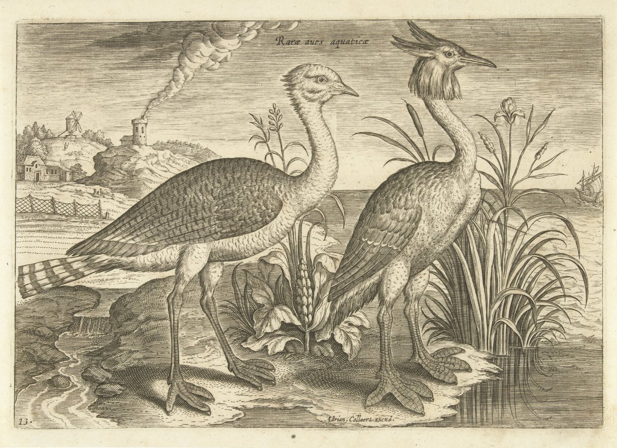 Bir manzarada yürüyen iki kuş Kuşlar (dizi adı) Avivm vivae (dizi adı) by Adriaen Collaert