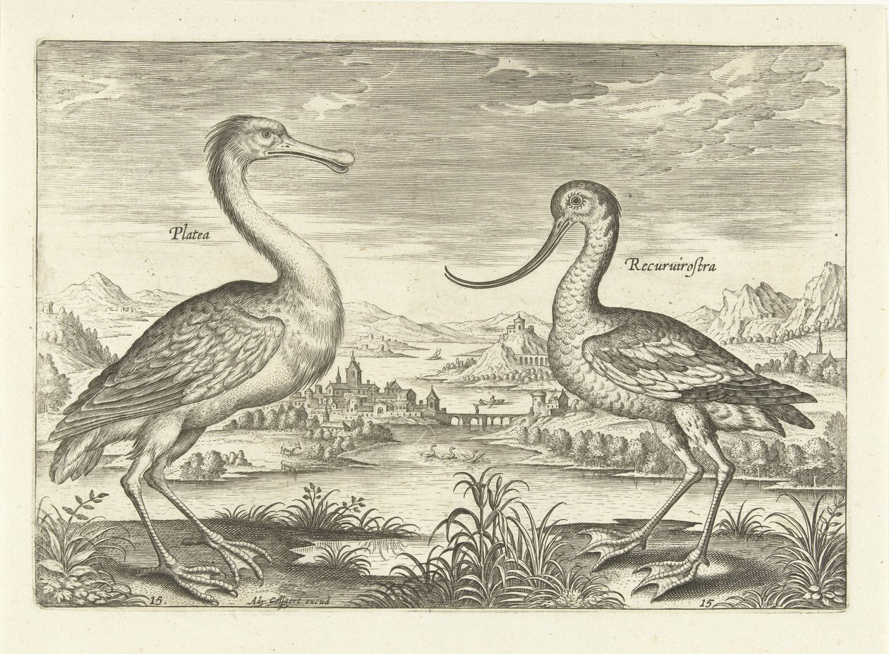 Bir nehir manzarasında yürüyen iki kuş Kuşlar (dizi adı) Avivm Vivae (dizi adı) by Adriaen Collaert