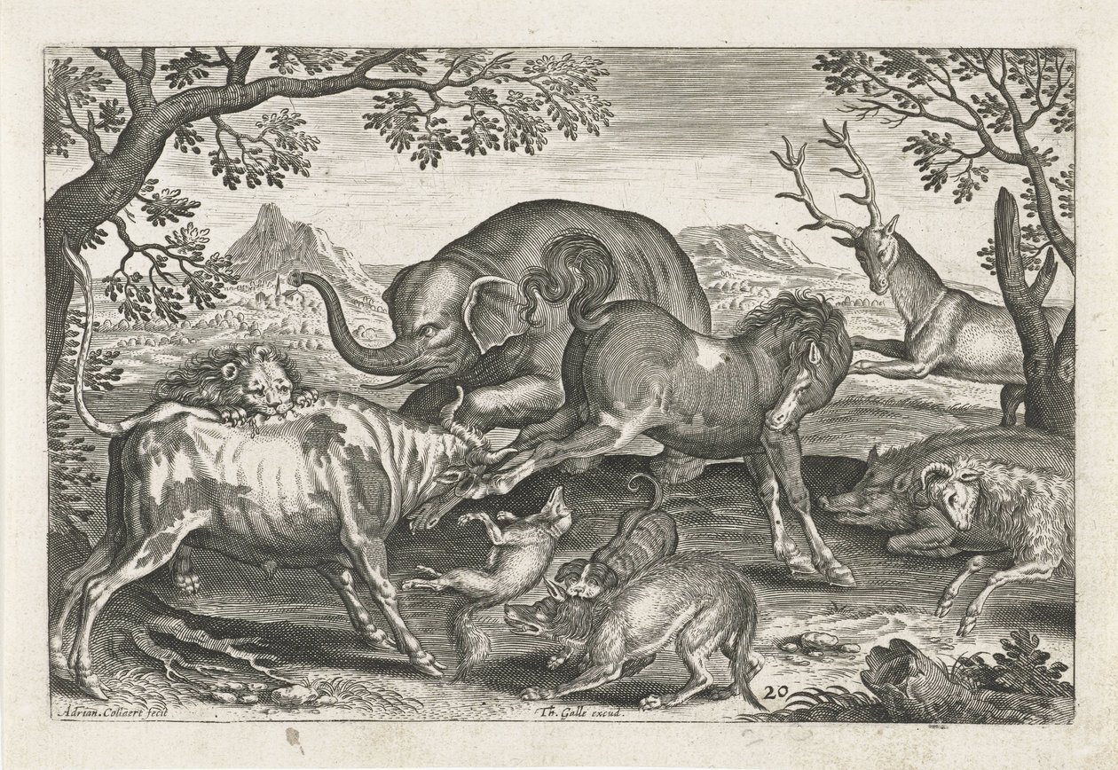 savaşan hayvanlar Dört ayaklı hayvanlar (dizi adı) Animalivm Qvaddrvpedvm (dizi başlığı) by Adriaen Collaert