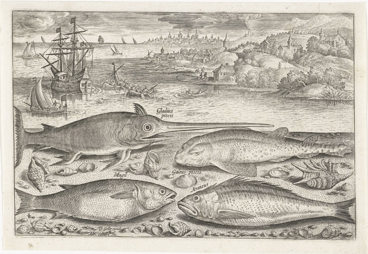 Sahilde dört balık Balık tutma (dizi adı) Piscium vivae simgeleri (seri başlığı) by Adriaen Collaert