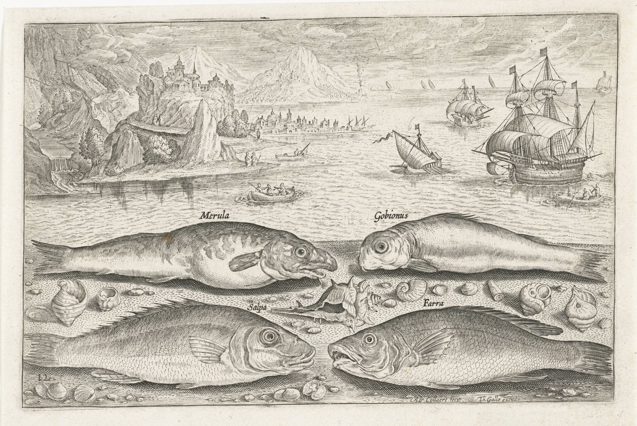 Sahilde dört balık Balık tutma (dizi adı) Piscium vivae simgeleri (seri başlığı) by Adriaen Collaert