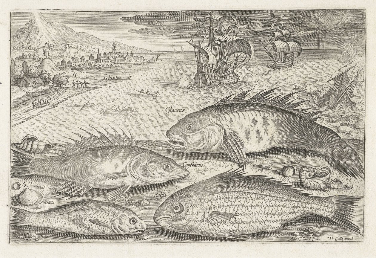 Sahilde dört balık Balık tutma (dizi adı) Piscium vivae simgeleri (seri başlığı) by Adriaen Collaert