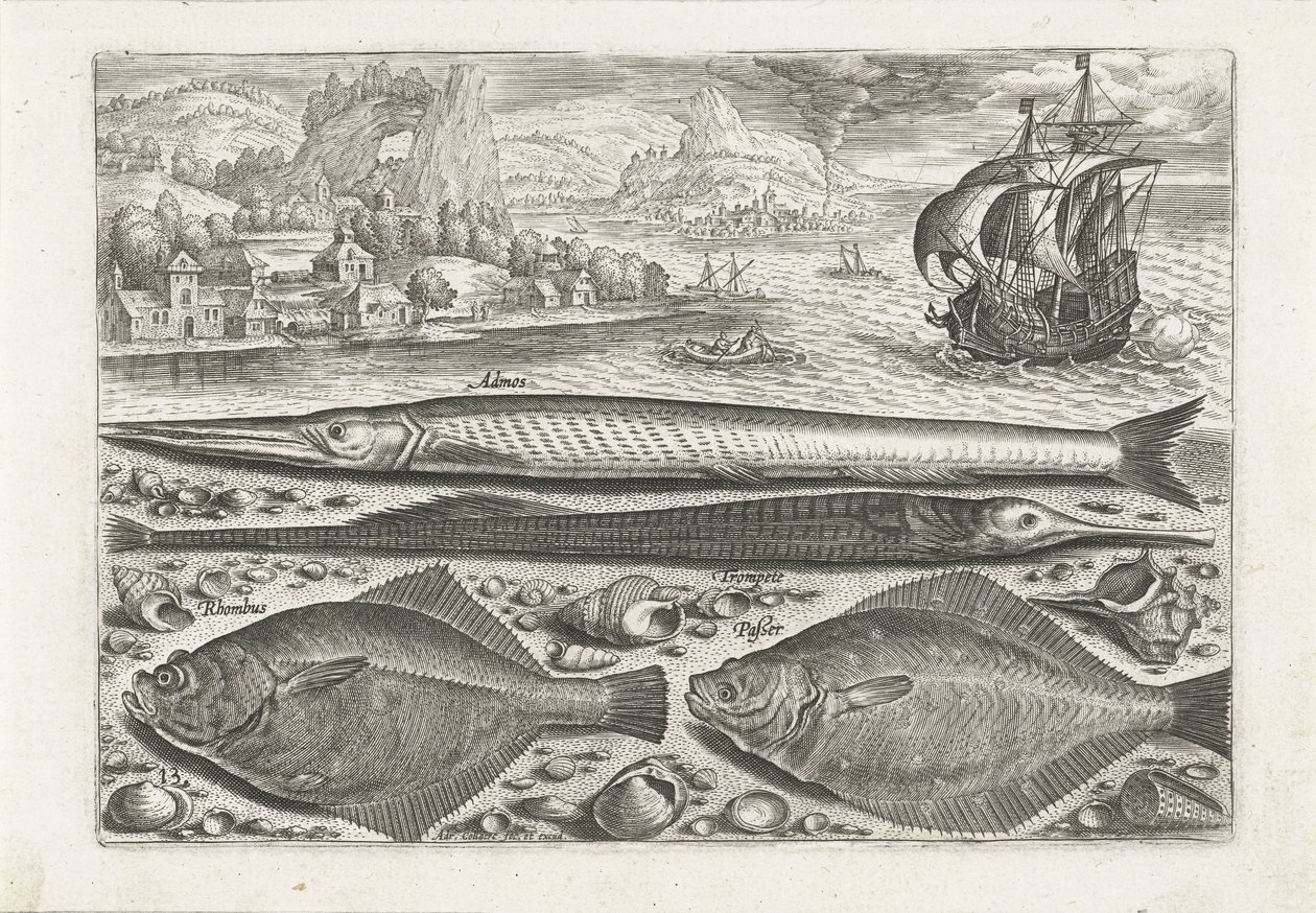 Sahilde dört balık Balık tutma (dizi adı) Piscium vivae simgeleri (seri başlığı) by Adriaen Collaert