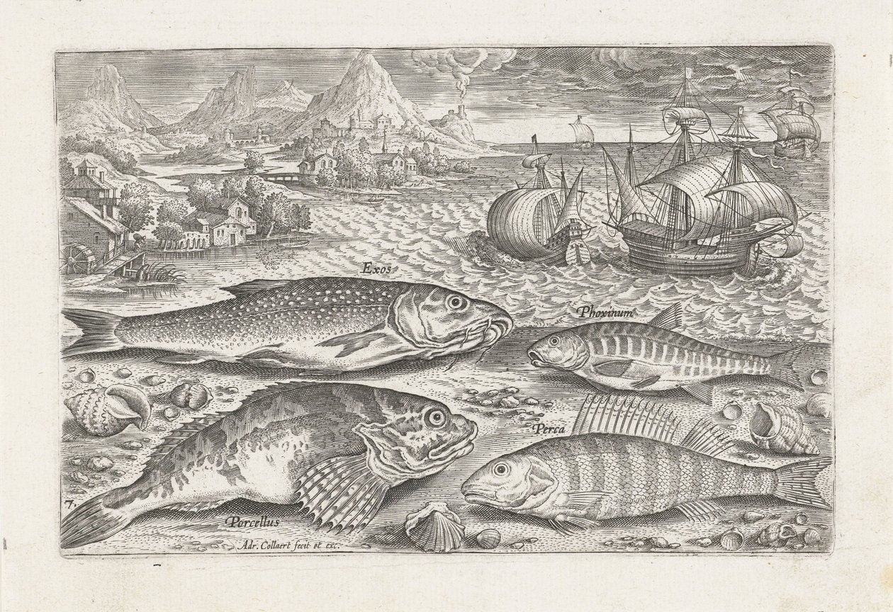 Sahilde dört balık Balık tutma (dizi başlığı) Piscivm vivae simgeleri (dizi başlığı) by Adriaen Collaert