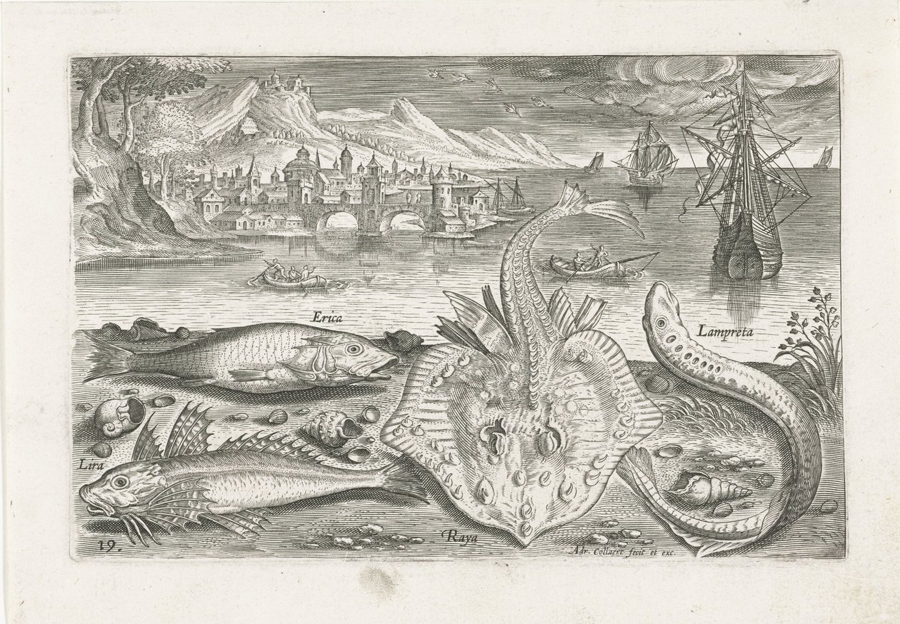 Sahilde dört balık Balık tutma (dizi adı) Piscium vivae simgeleri (seri başlığı) by Adriaen Collaert