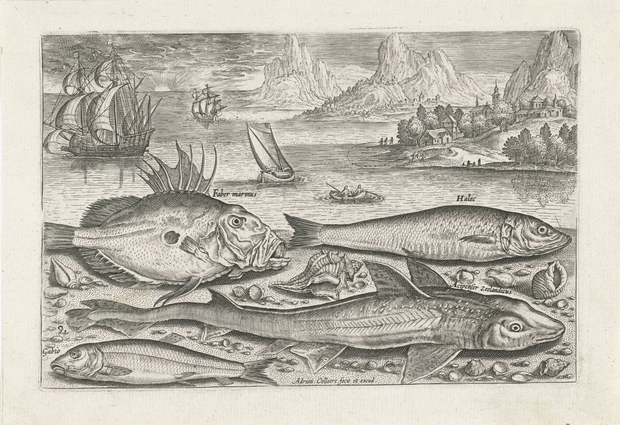 Sahilde dört balık Balık tutma (dizi adı) Piscium vivae simgeleri (seri başlığı) by Adriaen Collaert