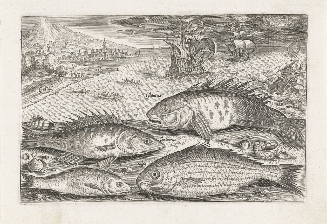 Sahilde dört balık Balık tutma (dizi adı) Piscium vivae simgeleri (seri başlığı) by Adriaen Collaert