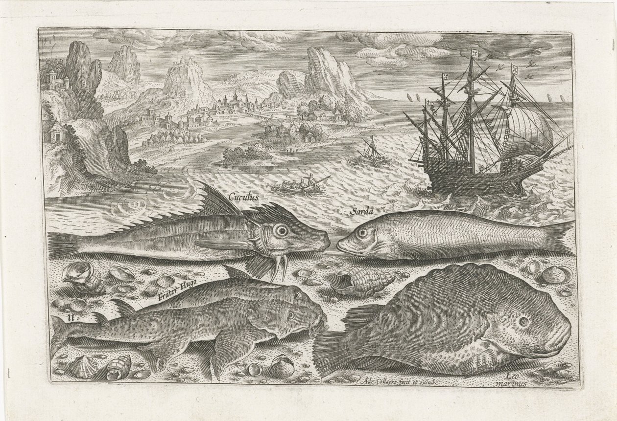 Sahilde dört balık Balık tutma (dizi adı) Piscium vivae simgeleri (seri başlığı) by Adriaen Collaert