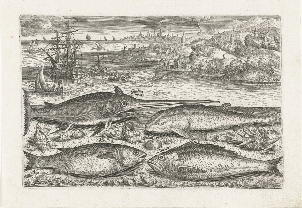 Sahilde dört balık Balık tutma (dizi adı) Piscium vivae simgeleri (seri başlığı) by Adriaen Collaert
