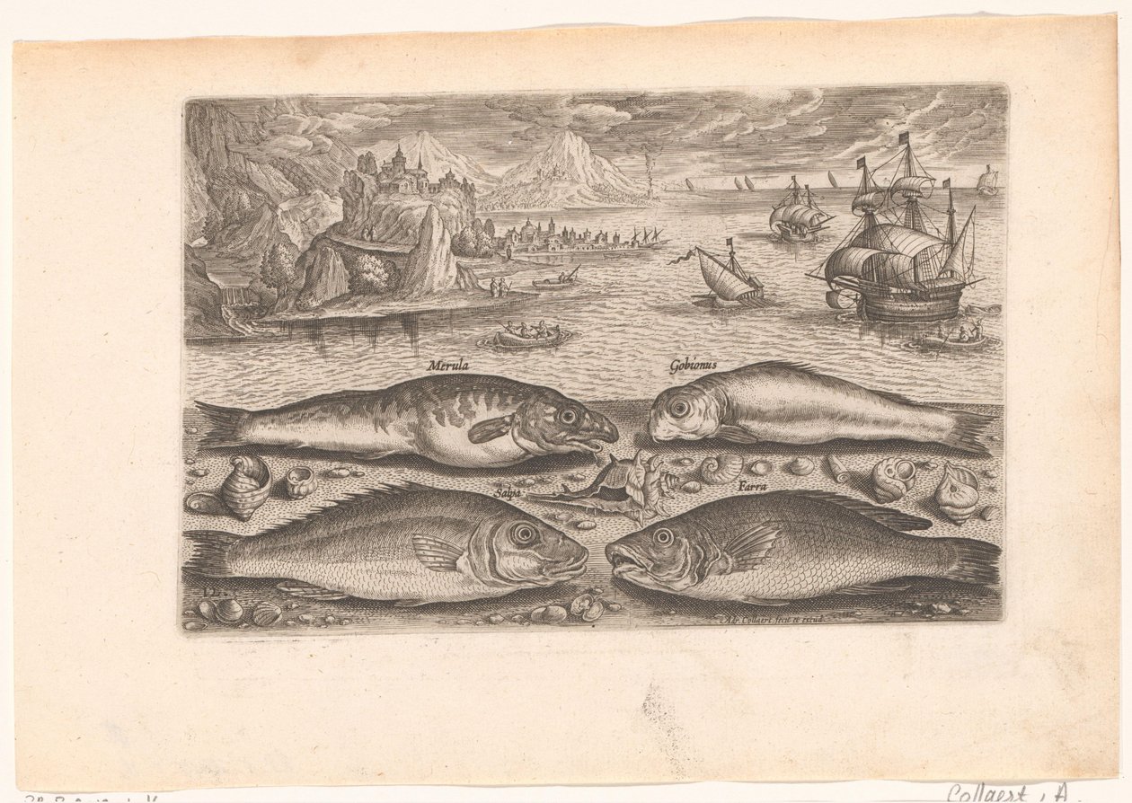 Sahilde dört balık Balık tutma (dizi adı) Piscium vivae simgeleri (seri başlığı) by Adriaen Collaert