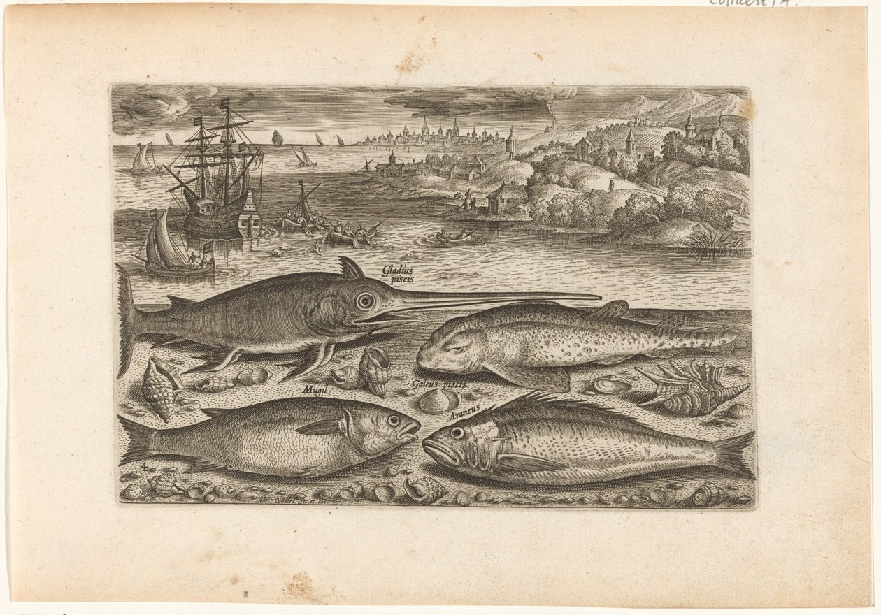Sahilde dört balık Balık tutma (dizi başlığı) Piscivm vivae simgeleri (dizi başlığı) by Adriaen Collaert